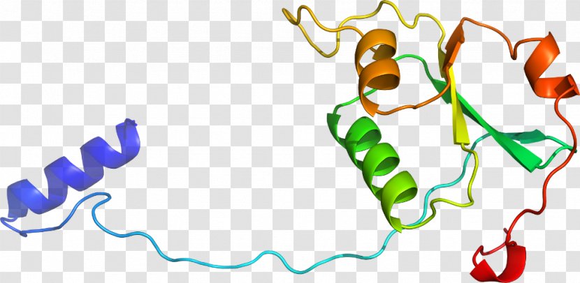 Human Behavior Organism Line Clip Art Transparent PNG