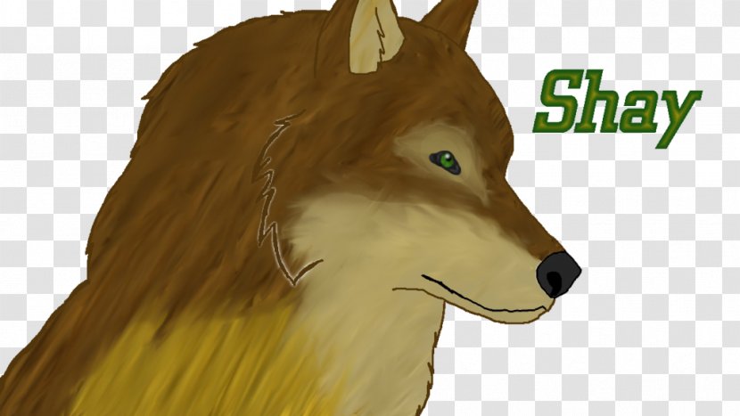 Dog Mammal Canidae Snout Character - Drawing Transparent PNG