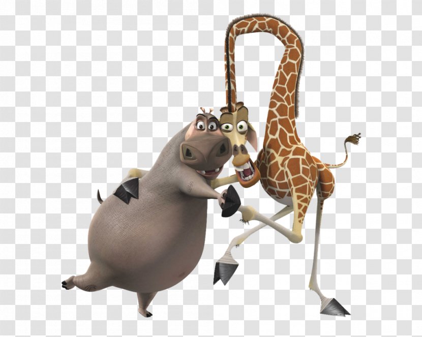 Gloria Melman Alex YouTube Julien - Ben Stiller - Madagascar Transparent PNG