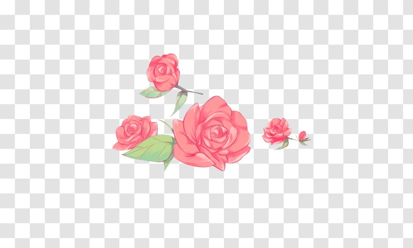 Garden Roses Cabbage Rose Petal Flower Floral Design - Flowering Plant Transparent PNG