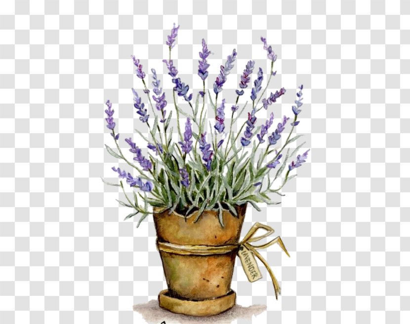 English Lavender Drawing Paper Decoupage - Watercolor Painting Transparent PNG