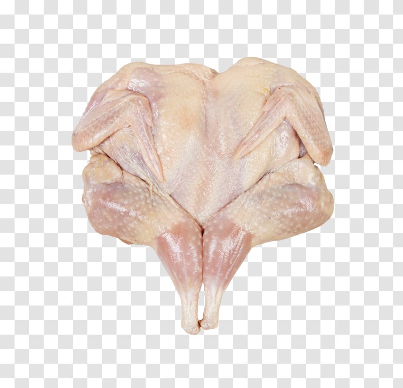 Pig's Ear - Animal Source Foods - сухие завтраки Transparent PNG