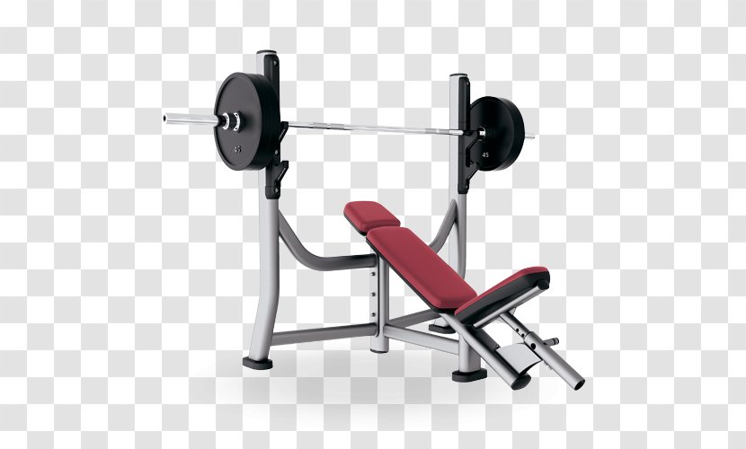 Bench Exercise Equipment Physical Fitness Centre Strength Training - Machine - Gym Transparent PNG