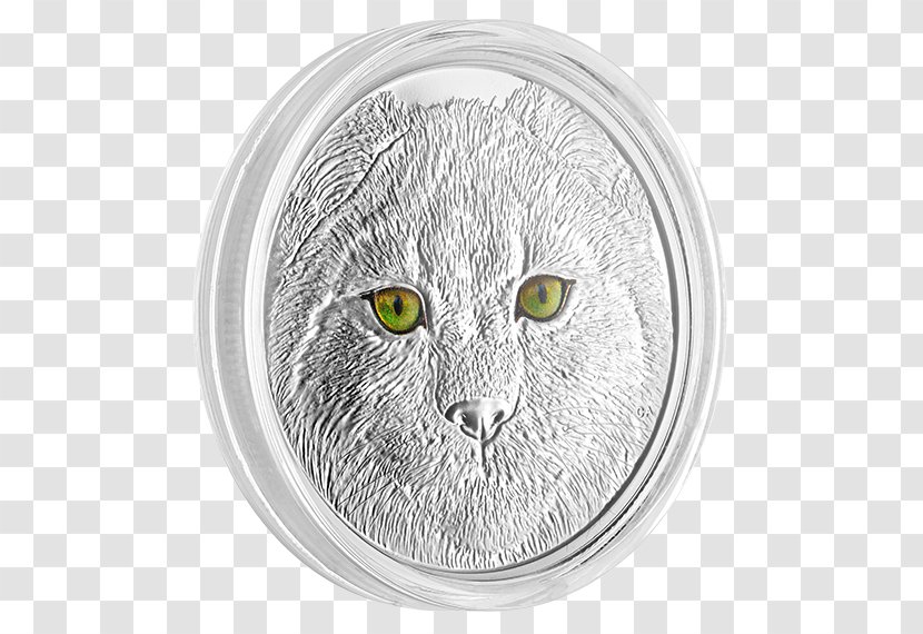 Tabby Cat Whiskers Canada Silver Eye Transparent PNG