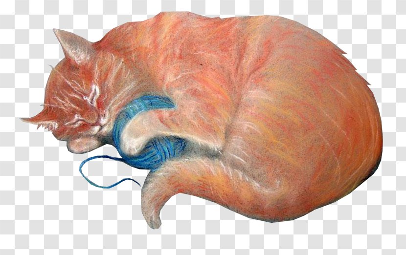 Cat Megabyte Clip Art - Cartoon - Knitting & Ready Made Logo Transparent PNG