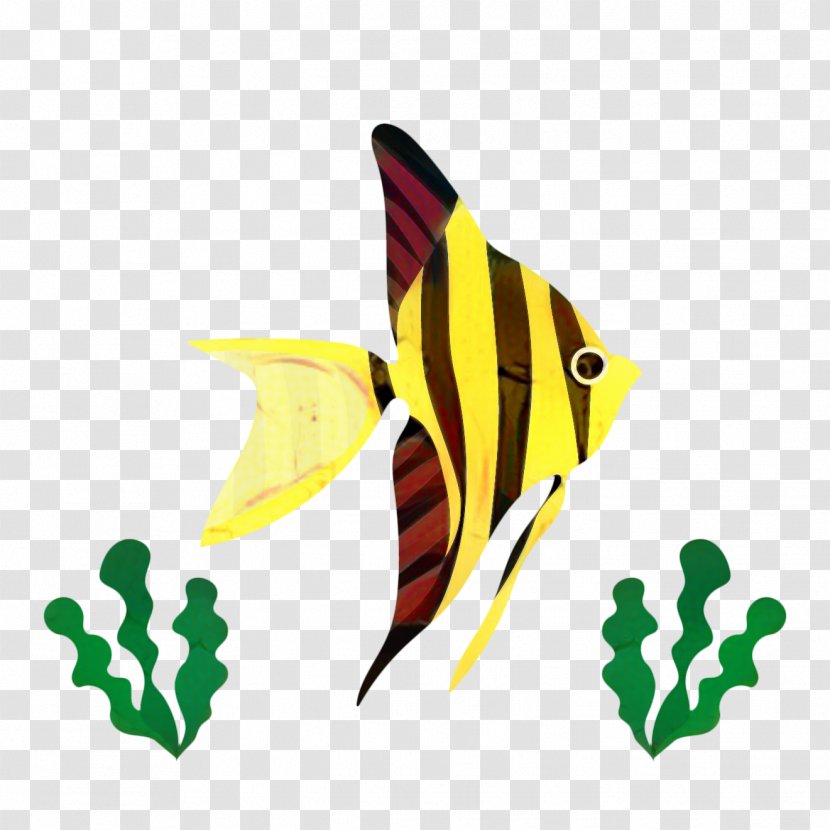 Coral Reef Background - Tropical Fish - Animal Figure Butterflyfish Transparent PNG