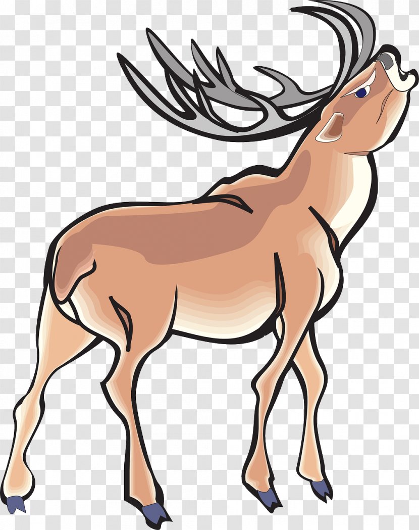 Deer Antler Clip Art - Fauna Transparent PNG