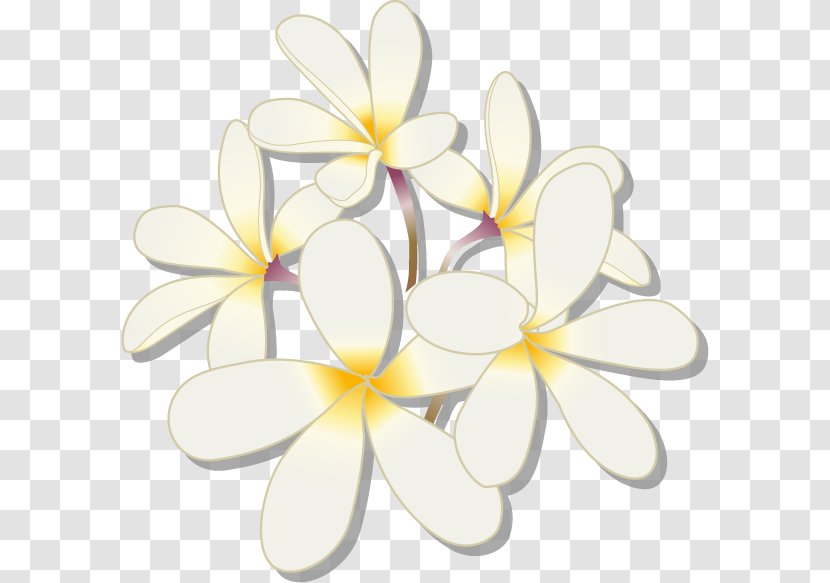 Floral Design Cut Flowers - 3g Summer Special Privileges Transparent PNG