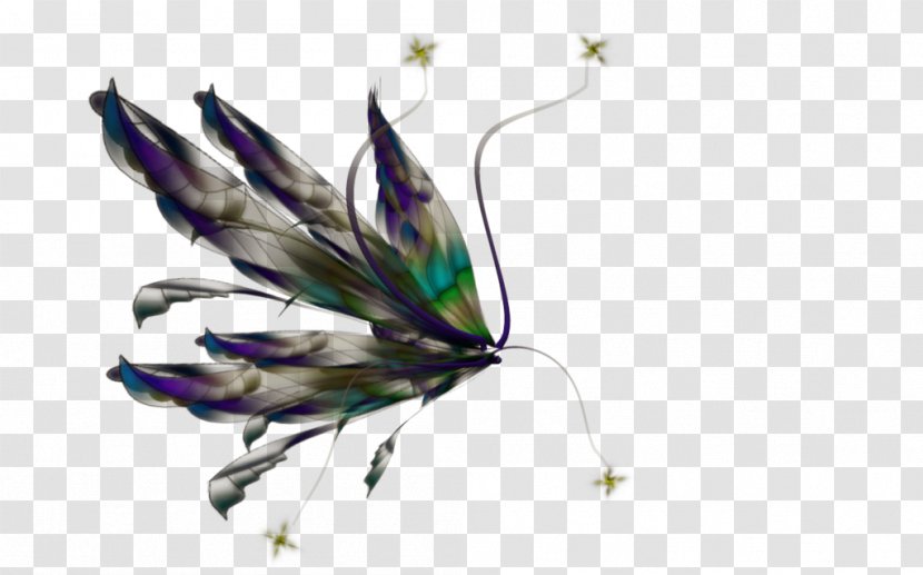 Angelet De Les Dents Fairy - Butterfly Transparent PNG