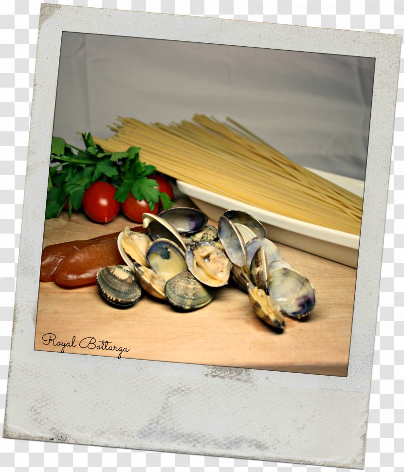 Clam Mussel Oyster Still Life Picture Frames - Table - Primo Piatto Transparent PNG