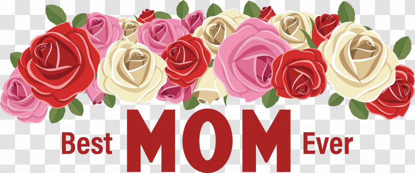 Floral Design Transparent PNG