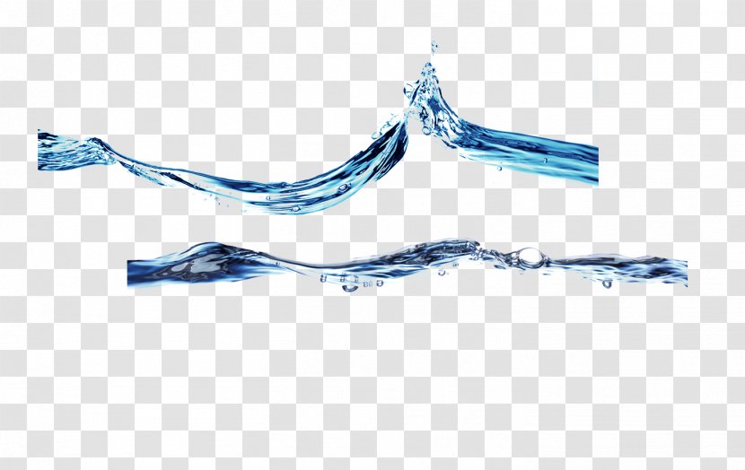 Water Drop Drinking - Wind Wave Transparent PNG
