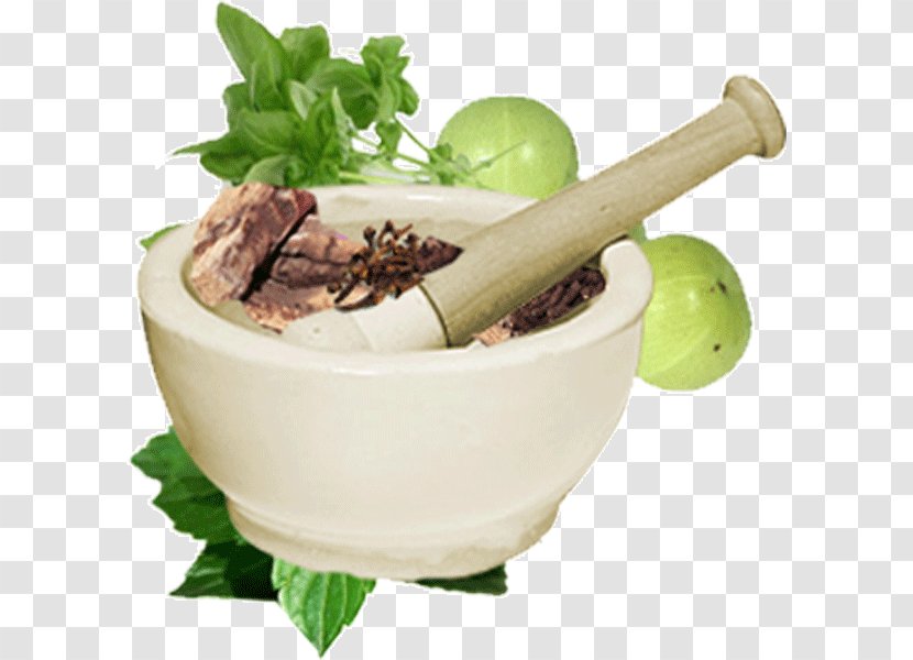 Ayurveda Medicine Physician Therapy Alternative Health Services - Food - Tingling Transparent PNG
