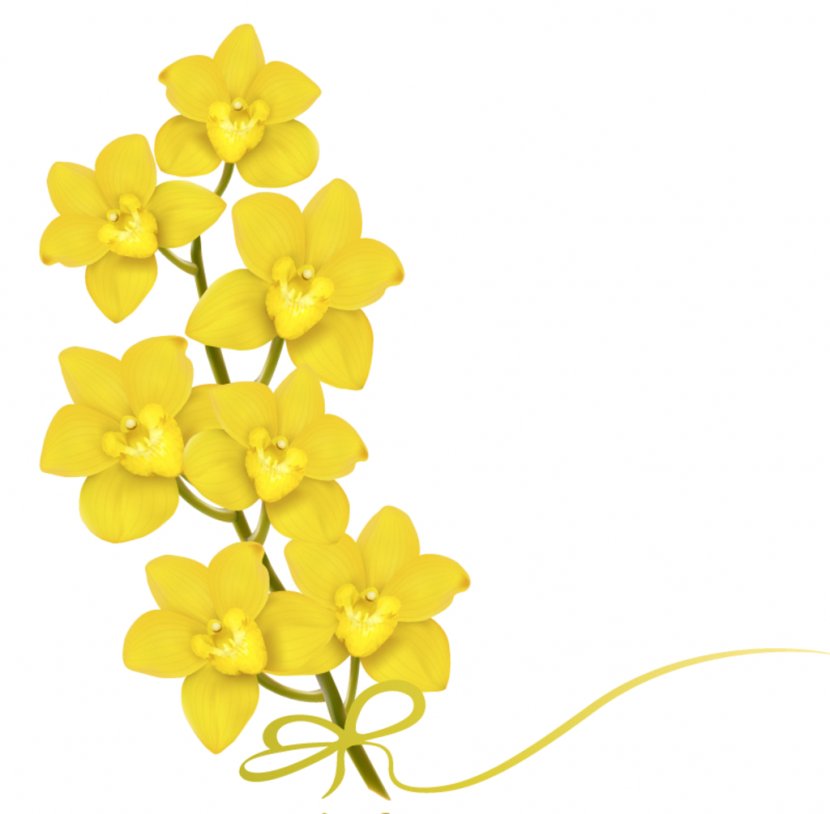Flower Stock Photography Clip Art - Bouquet Transparent PNG