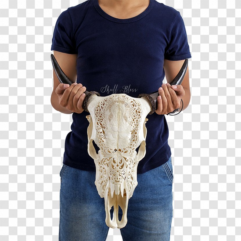 XL Horns Skull Cattle Neck - Horn - Ganesha Transparent PNG