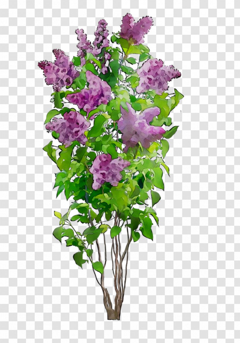 Lavender Cut Flowers Floral Design Flower Bouquet - Flowering Plant - Delphinium Transparent PNG