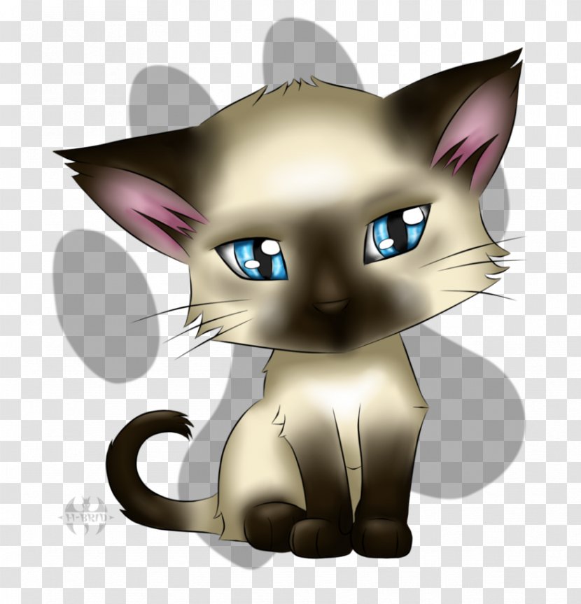Whiskers Kitten Korat Tabby Cat Domestic Short-haired - Head Transparent PNG