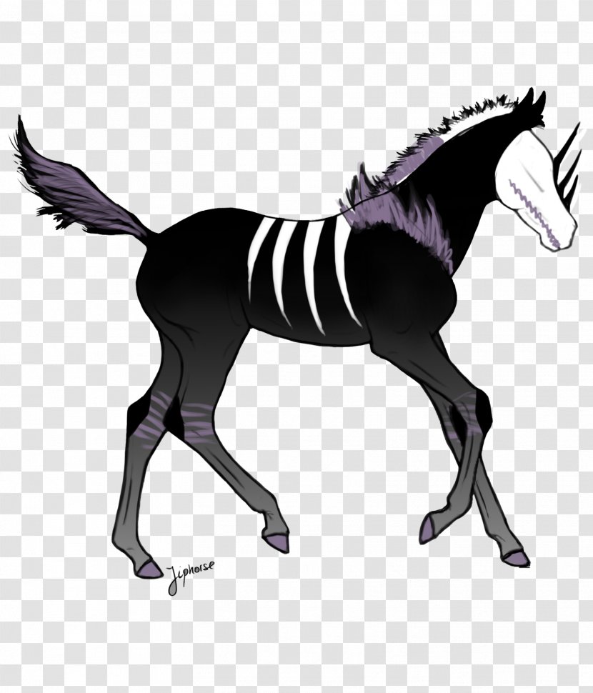 Mustang Foal Pony Stallion Halter - Tail - General Grievous Transparent PNG
