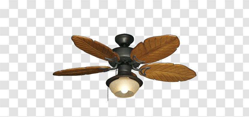 Lighting Ceiling Fans - Fan Palm Transparent PNG