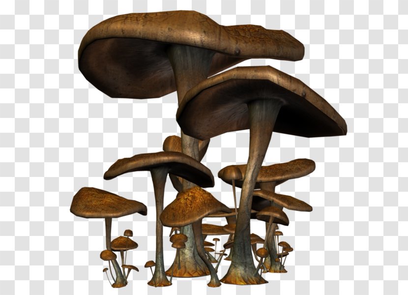 Mushroom Fungus Drawing - Edible - Hand-painted Mushrooms Transparent PNG