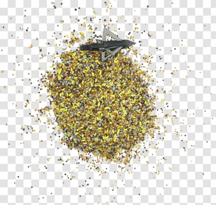 White-tailed Deer White Clover Seed Red - Nutrition - Alfalfa Sprouts Transparent PNG