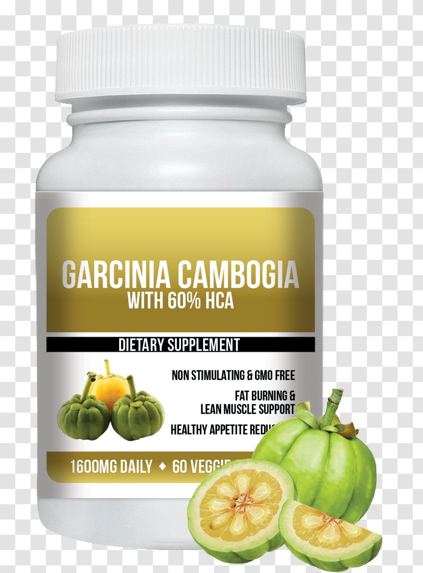 Dietary Supplement Garcinia Cambogia Nutraceutical Food - Health Blog - Weight Loss Pills Transparent PNG