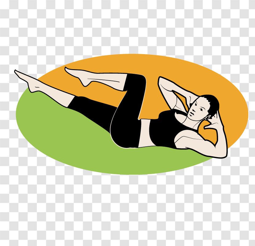 Physical Exercise Aerobic Aerobics Clip Art - Personal Trainer - Vector Yoga Transparent PNG