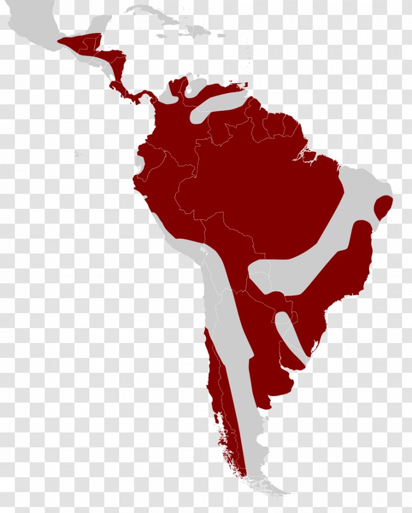 Latin America Caribbean United States Of Subregion Southern Cone - South - Mixed Chicks Results Transparent PNG