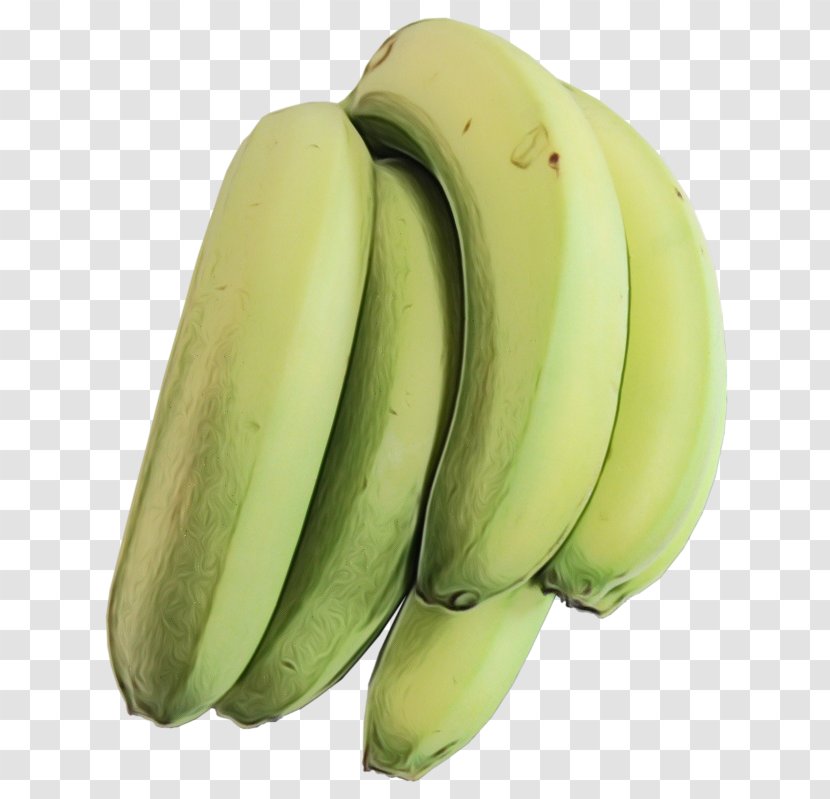 Banana Family Saba Plant Fruit - Superfood Food Transparent PNG