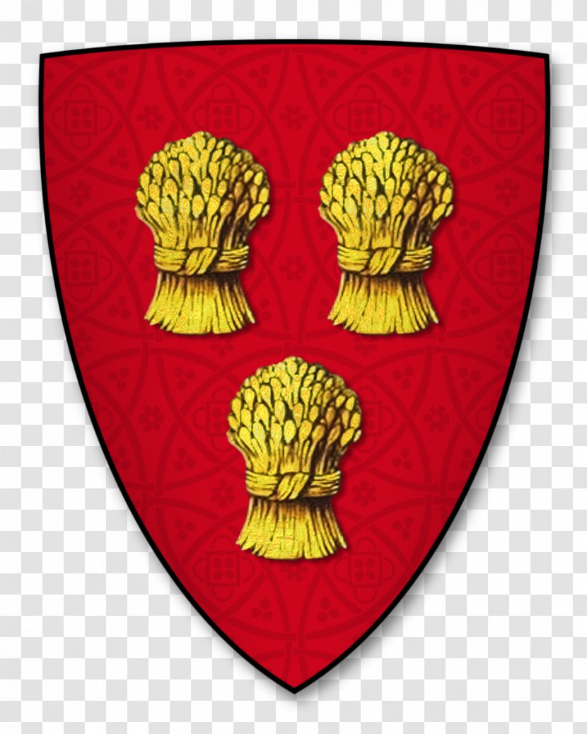 Shield Coat Of Arms Knight Crest Aspilogia Transparent PNG