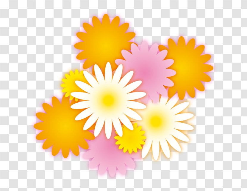 Drawing Common Daisy Clip Art - Sunflower - Recruit Transparent PNG