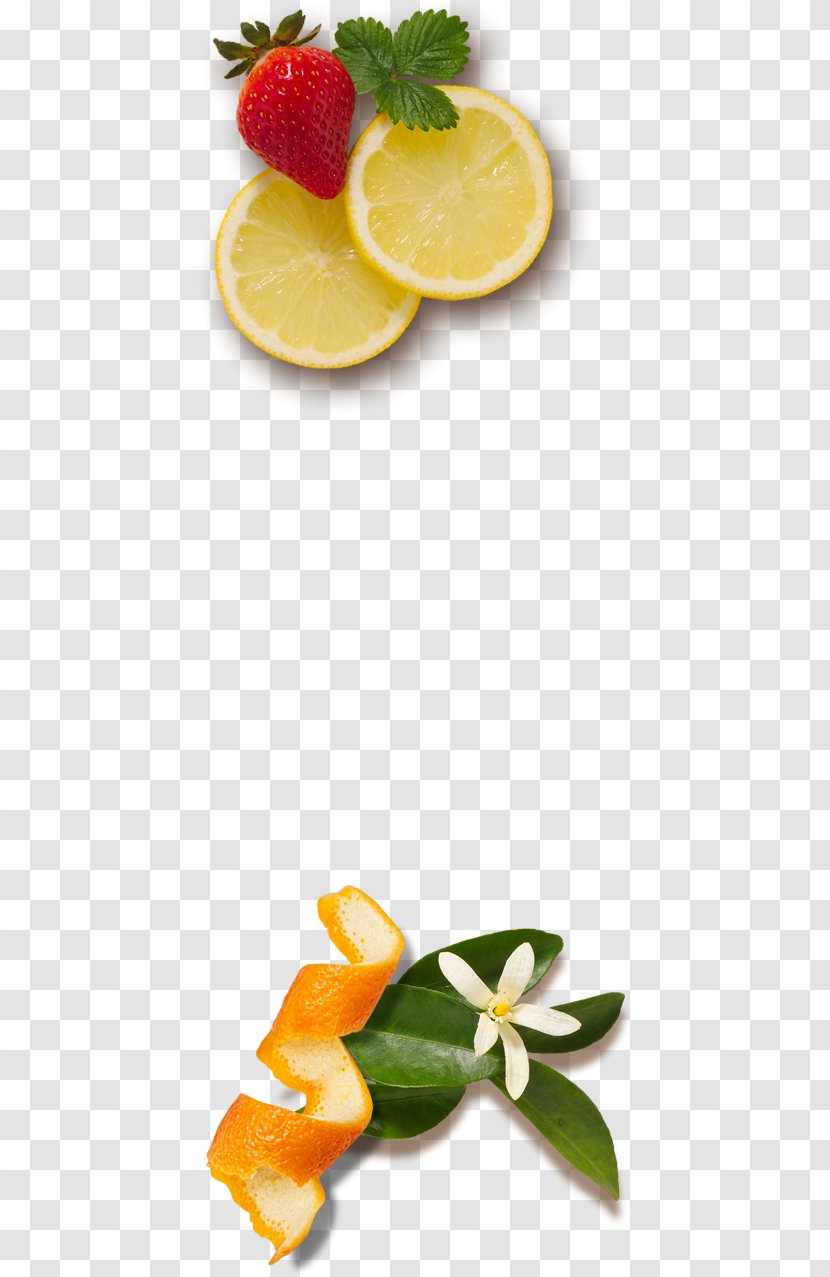 Lemon Fruit Orange Juice Florida - Fresh Salad Transparent PNG