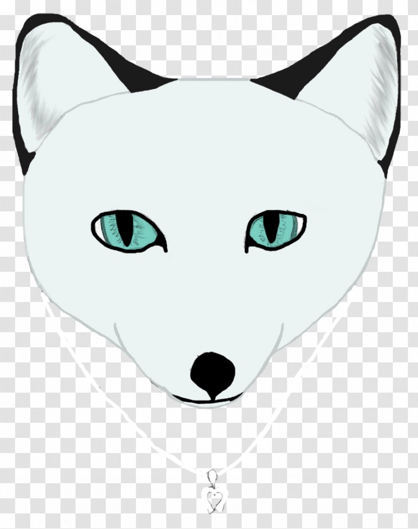 Whiskers Cat Dog Snout - Like Mammal Transparent PNG