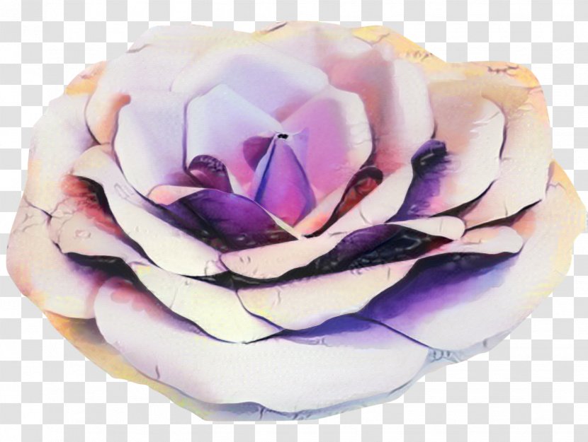 Wedding Flower Background - Plant - Magnolia Rose Order Transparent PNG