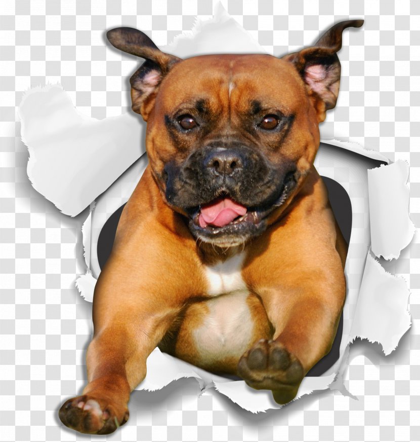 Dog And Cat - Boxer - Renascence Bulldogge Perro De Presa Mallorquin Transparent PNG