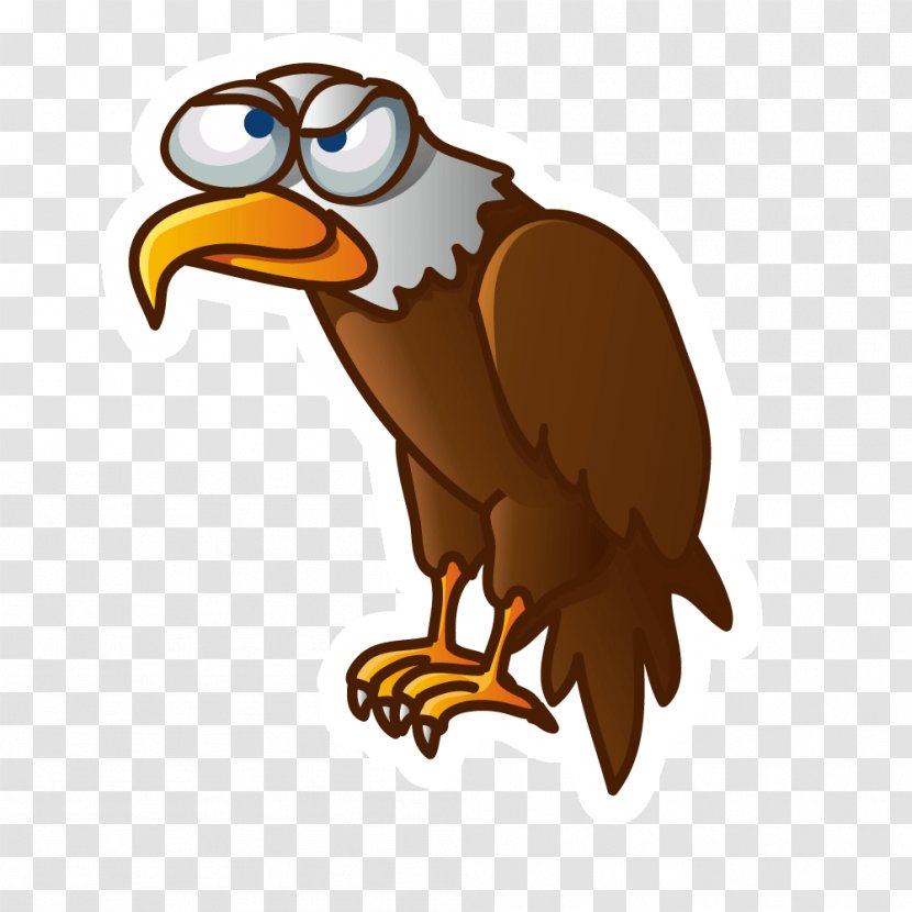 Vulture Cartoon Bird Illustration - Owl - Vector Evil Eagle Transparent PNG