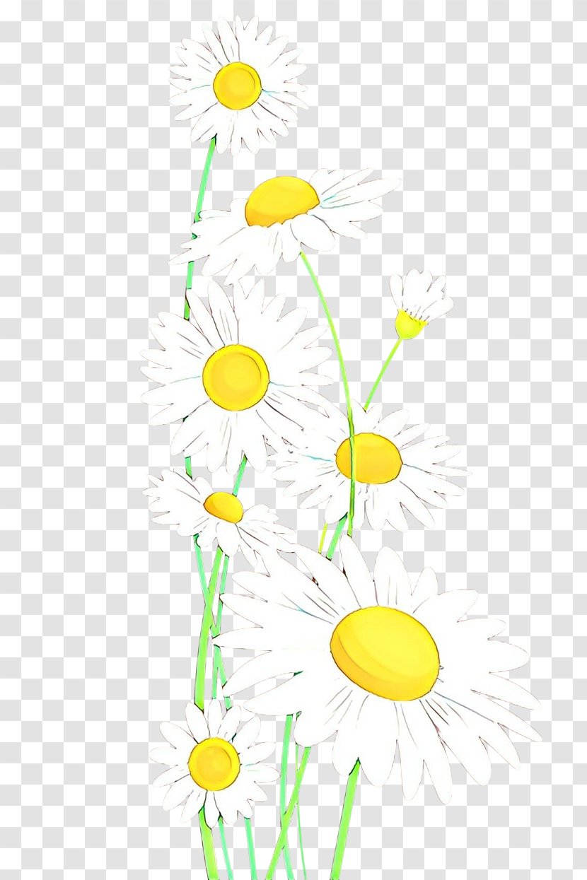 Floral Design - Branch - Pedicel Wildflower Transparent PNG