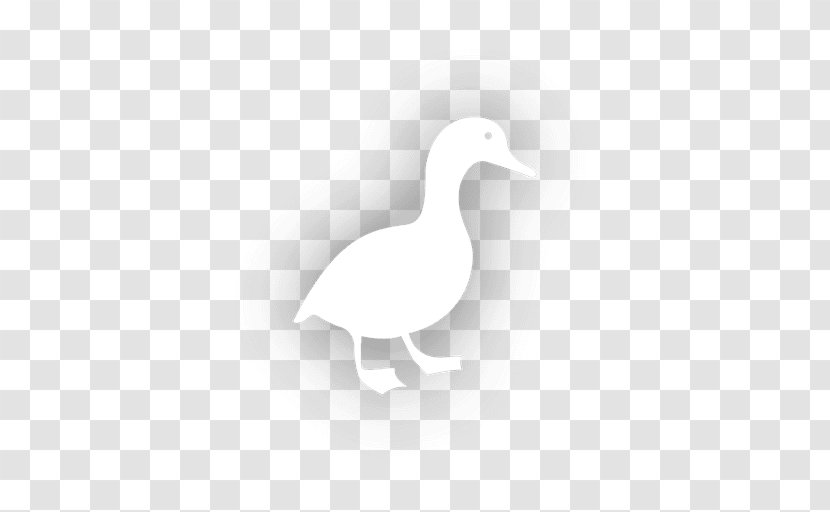 Duck Goose Cygnini White Feather - Livestock - Chinese Transparent PNG