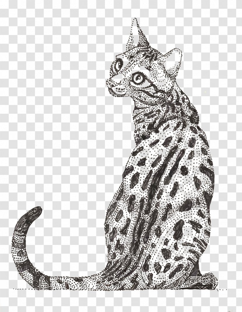 Ocicat Tabby Cat Ocelot Wildcat Whiskers - Motif - Vector Point Painted Leopard Transparent PNG