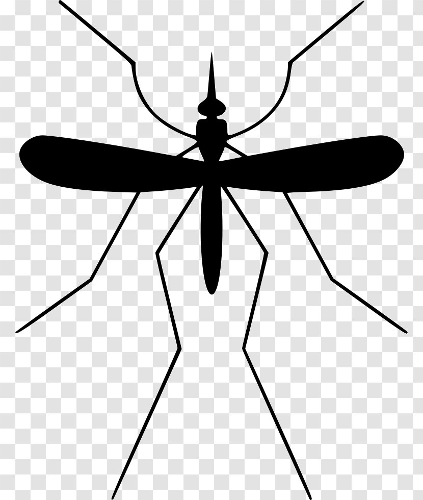 Mosquito Insect Misitio El Mosco Pest Control - Black And White Transparent PNG
