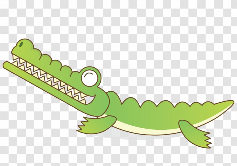 Crocodile Alligator Cartoon - A Transparent PNG