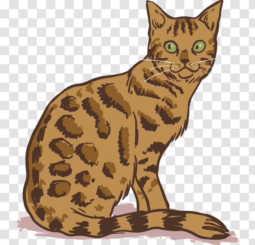 Bengal Cat Persian Siamese Burmese Donskoy - Tabby - Kitten Transparent PNG