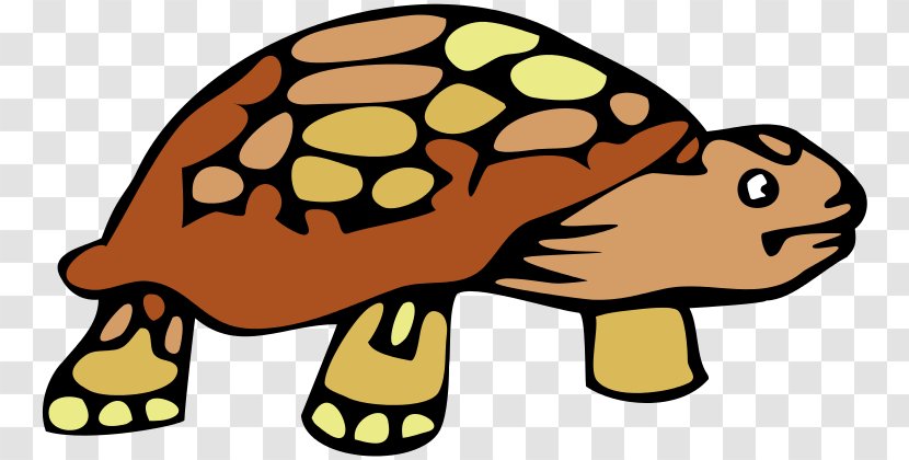 Turtle Reptile Tortoise Clip Art - Organism Transparent PNG