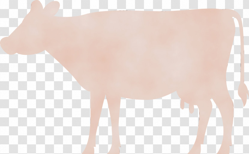 Ox Joint Goat Snout Tail Transparent PNG