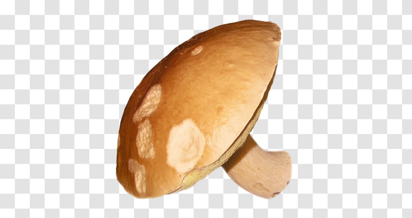 Bread - Mushroom Transparent PNG