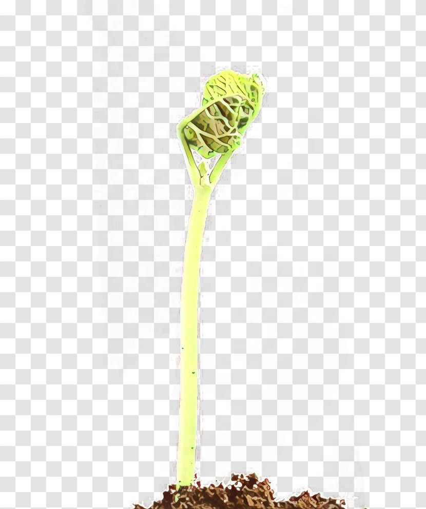 Plant Flower Plant Stem Twig Transparent PNG