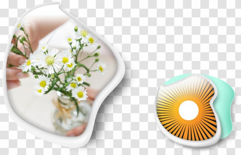 Flower - Dishware - Design Transparent PNG