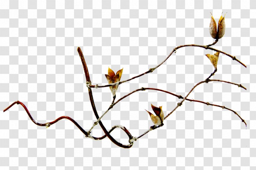 Leaf Branch Clip Art - Twig Transparent PNG