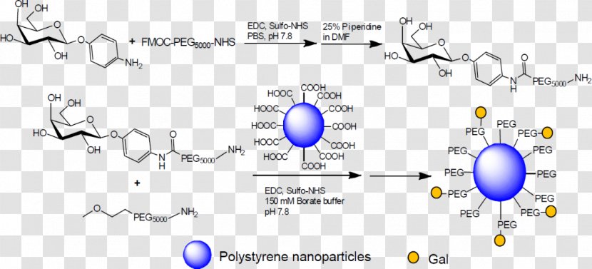 PEGylation Polyethylene Glycol Carbohydrate Mannose Technology - Chemotherapy Transparent PNG