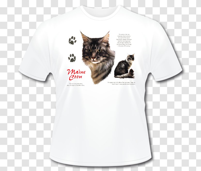 Kitten T-shirt Sleeve Outerwear Font - Cat Like Mammal Transparent PNG